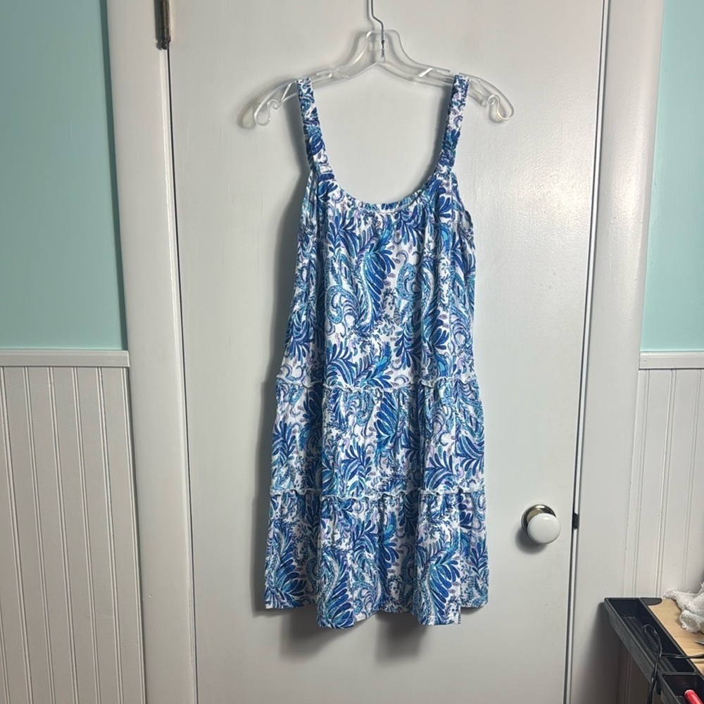 Lilly Pulitzer Loro dress Baha blue Bird is the word Size Small - Picture 2 of 13